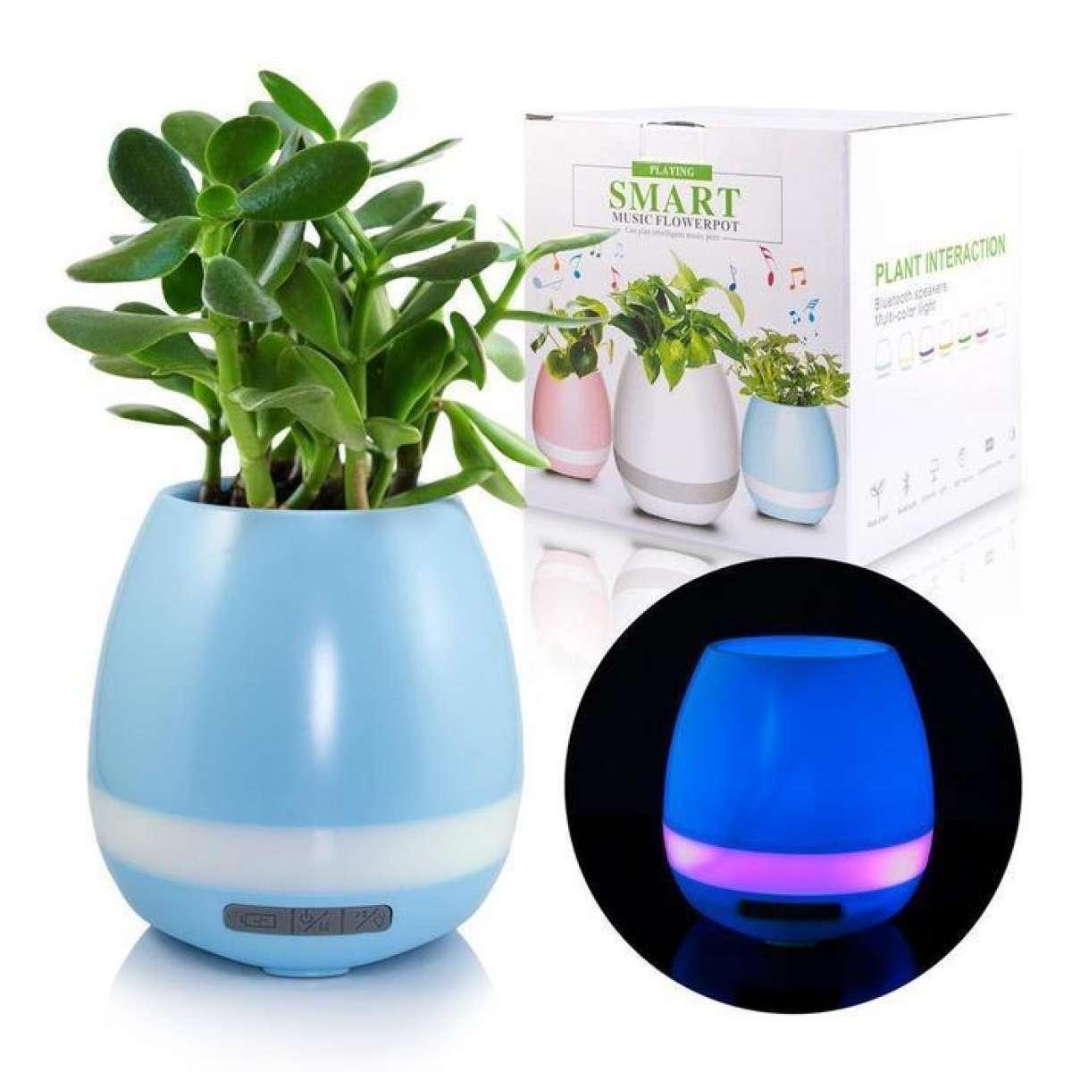 music plant pot