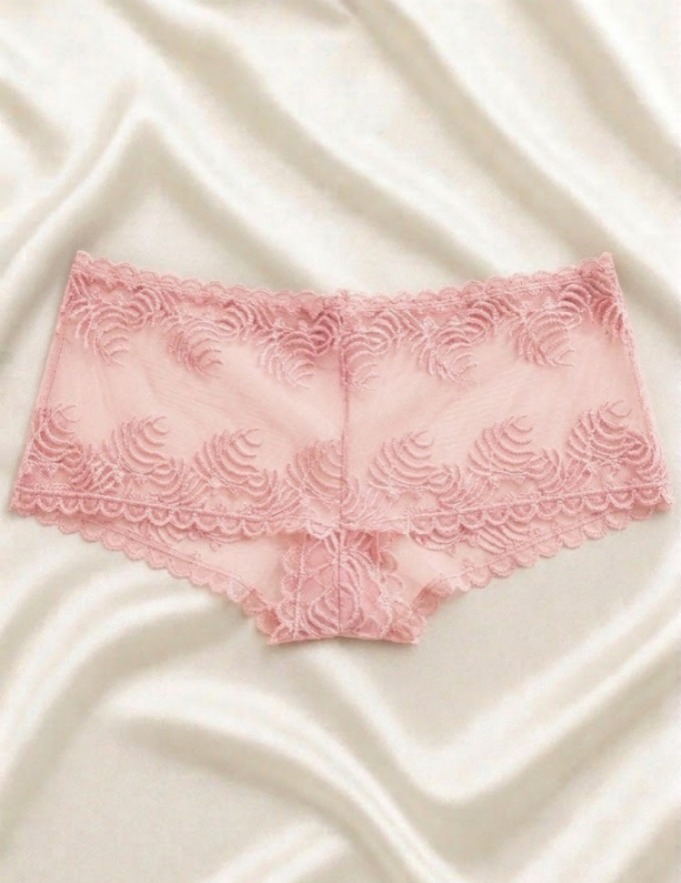 Women Panty, Net Panty for Women, Mesh Panties, Ladies Underwear, Transparent Panty, Lace Panty, Comfortable Women Underwear, Black Panty Women, Girls Innerwear, Ladies Lingerie Panty, Soft Panty