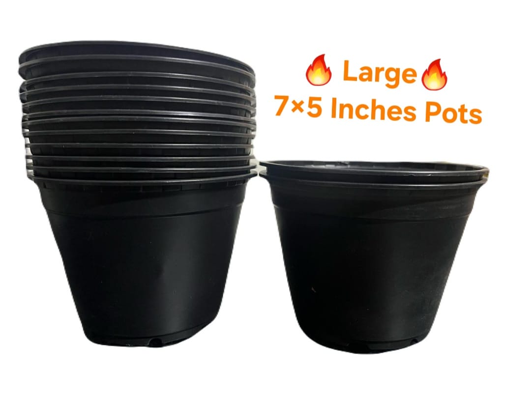 Pack of 10 large 7×5 Inches Plastic pots Pots for seedling or flowerPots for Plants Plastic