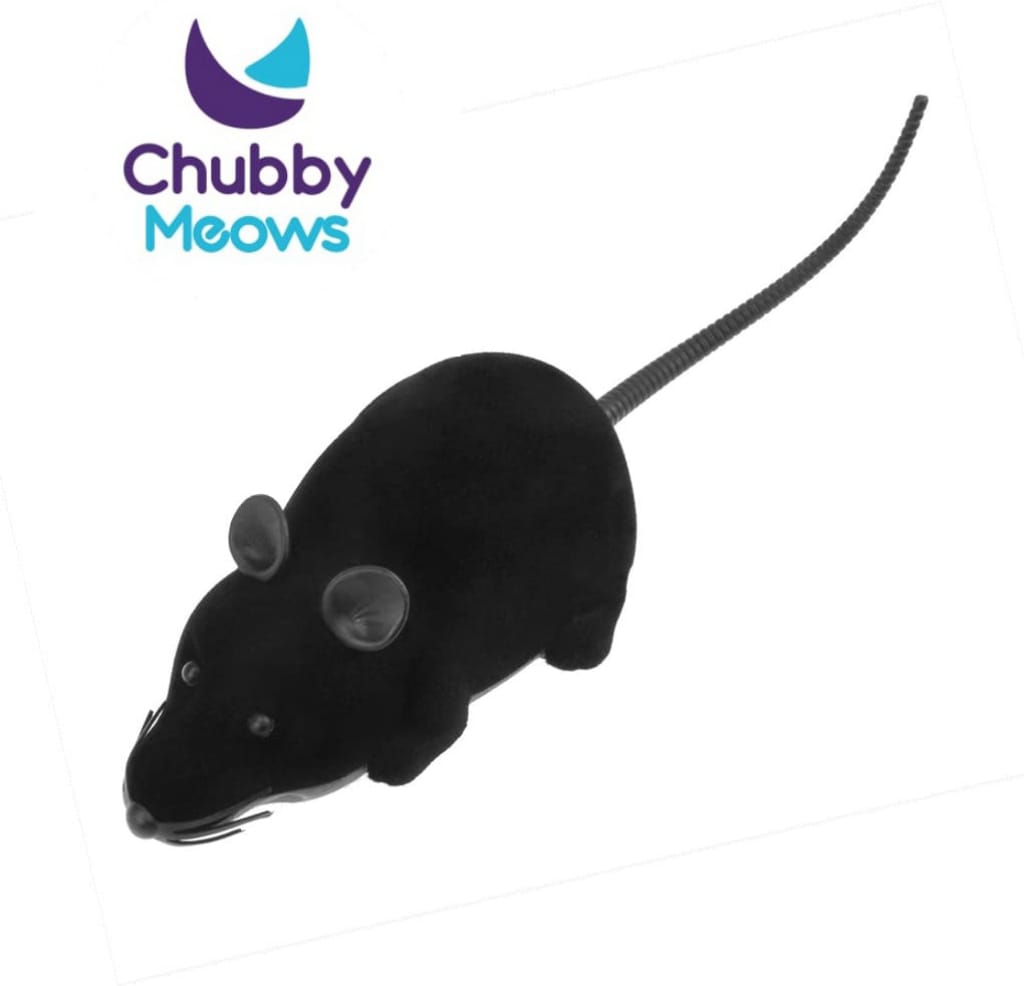 Moveable Mouse Toy For Cats & Kitten