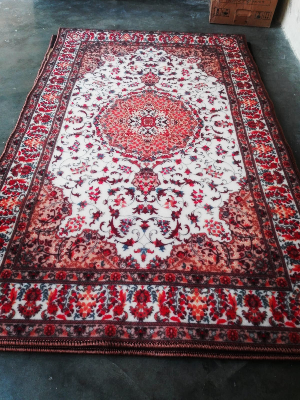 3ft x 5ft Area Rug Carpet Centerpiece for Living Room or Bedroom Durable Decorative Floor Rug