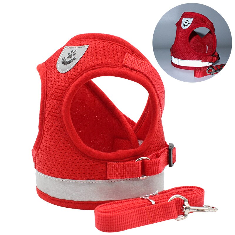 extra strong dog leash