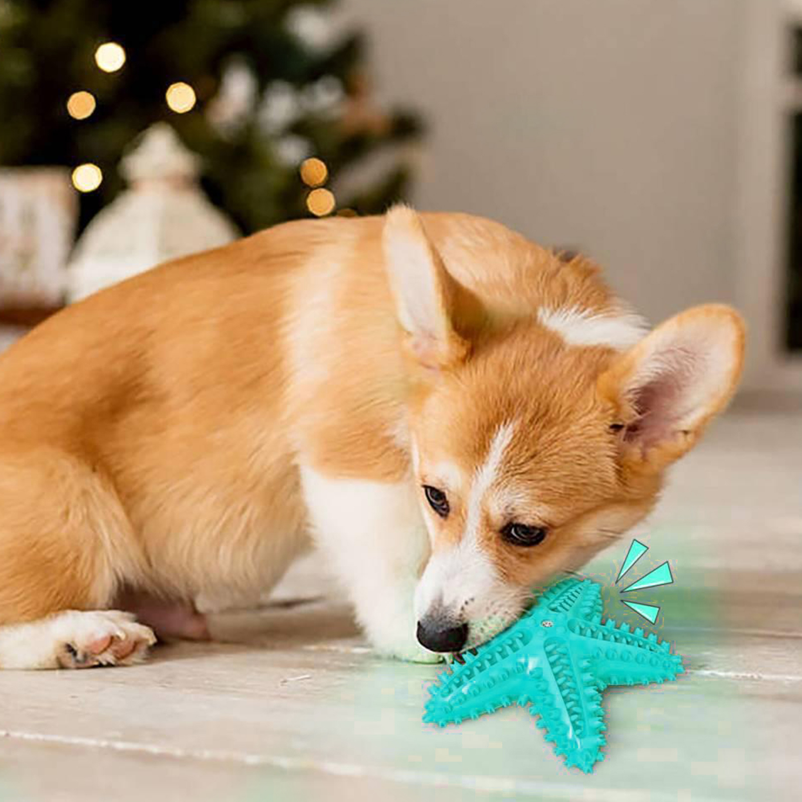 Are Aggressive Chewers