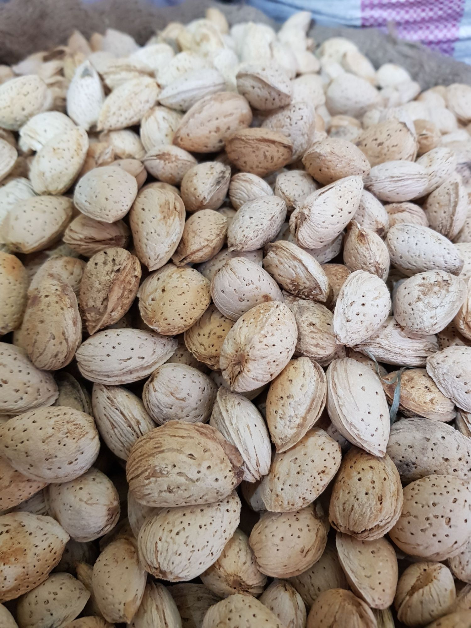 KAGHZI BADAM / PAPER BADAM GURBANDI 500gm | Daraz.pk