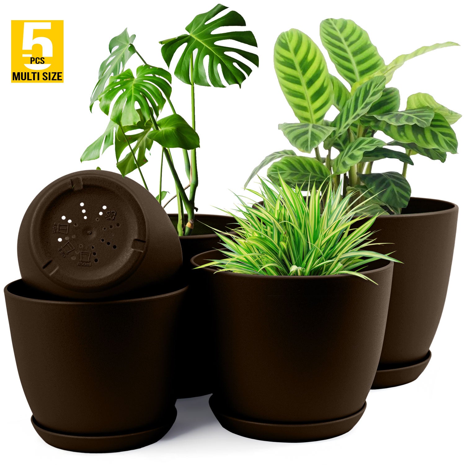 Indoor Plants Pots with Drainage Pack of 5 Decorative Indoor Planting