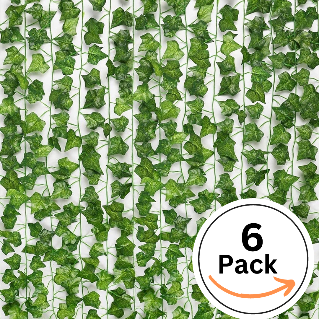 Pack of 6