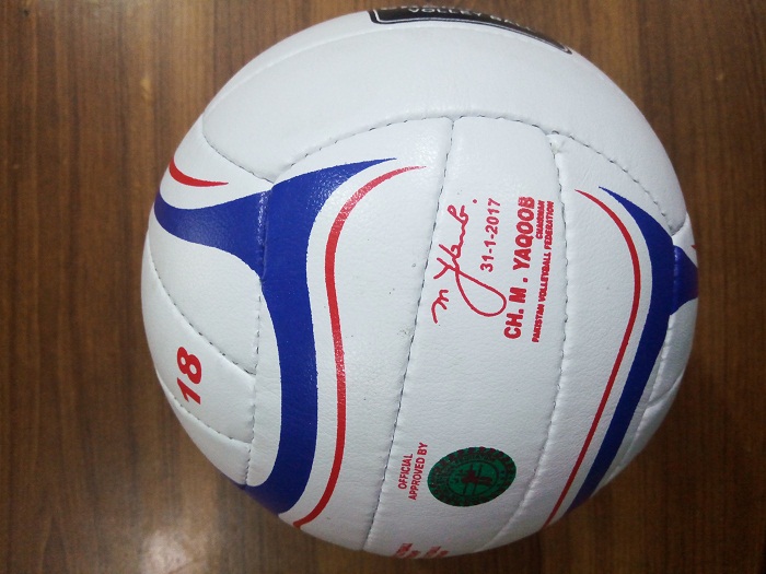 VolleyBall Beach Ball smash ball volley ball Training Ball Standard Size