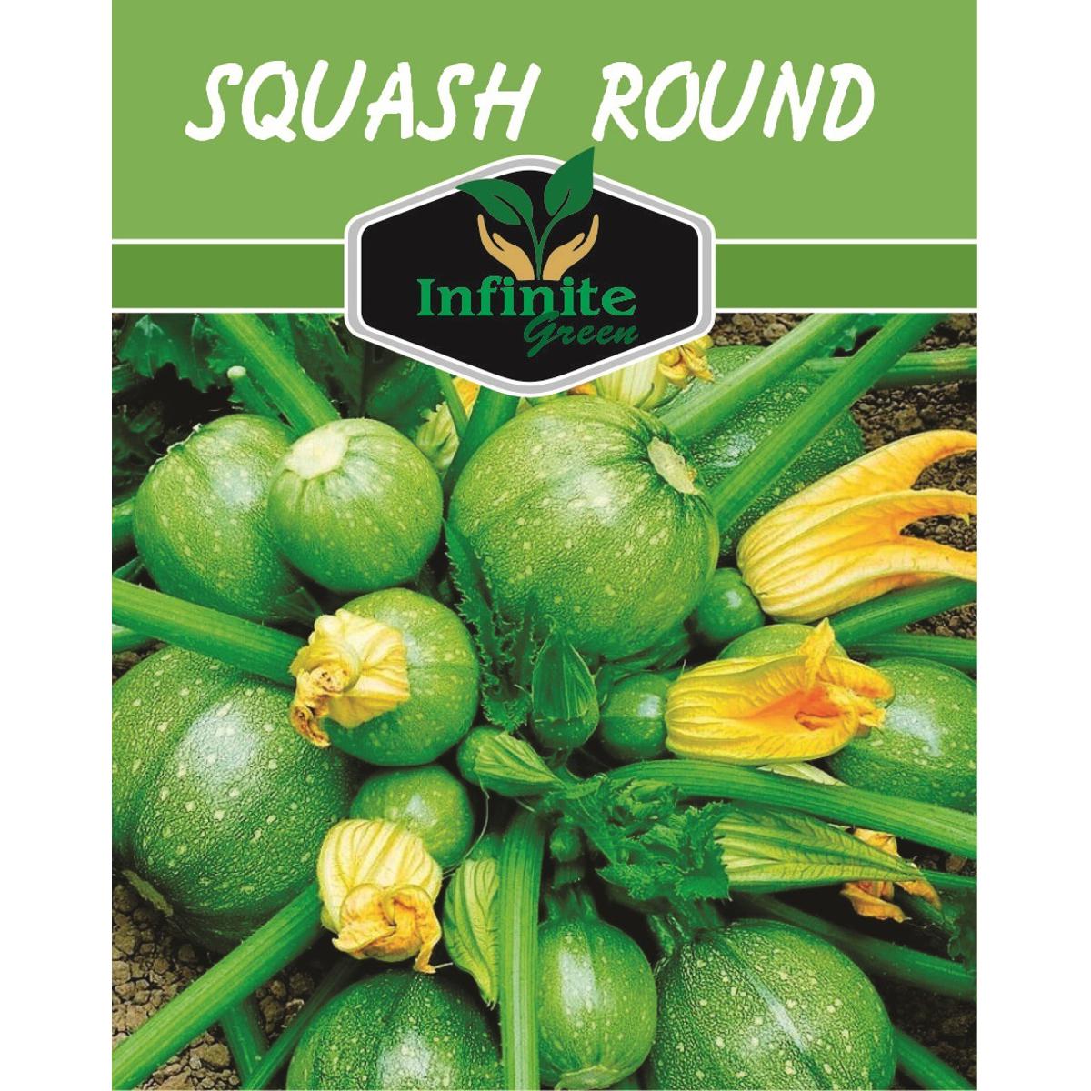 Squash Round F1 Hybrid 12 Seeds