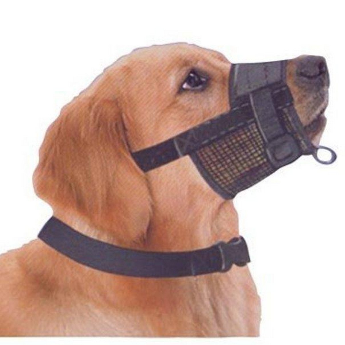 net muzzle dog