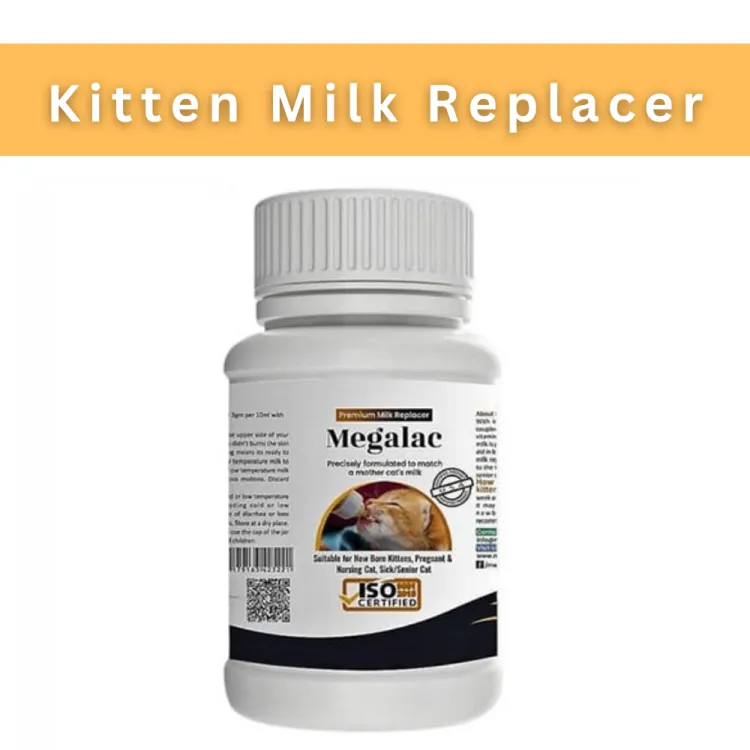 Gnc kitten cheap milk replacer