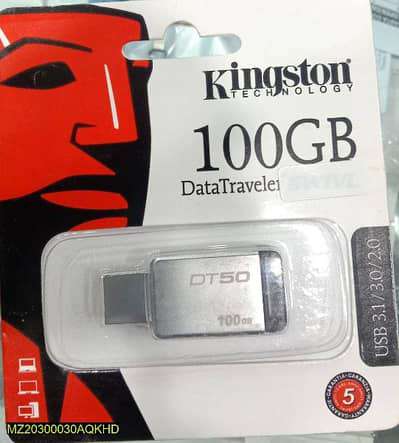HP/Kingston DT-50 100GB USB Flash Drive color SILVER