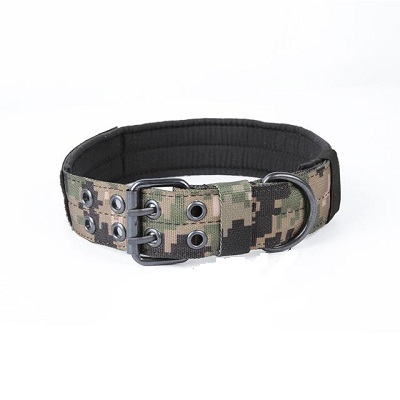 dog accessories daraz