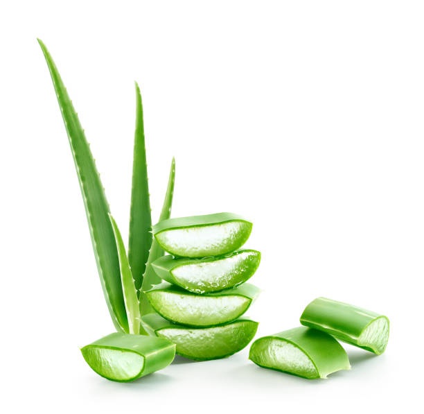 Aloe Vera Fresh Leaves ایلوویرا کے پتے (1-kg)  Hakeem Lahori