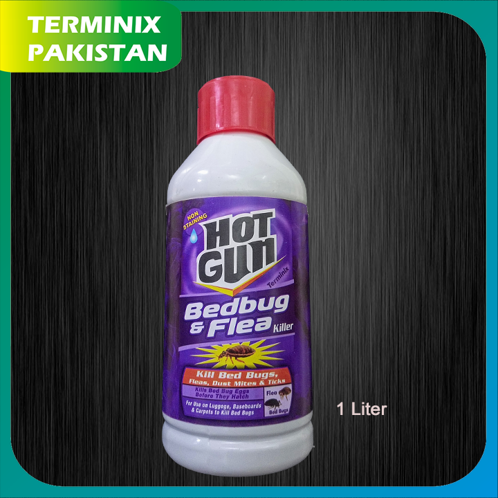 best bed bug and flea killer