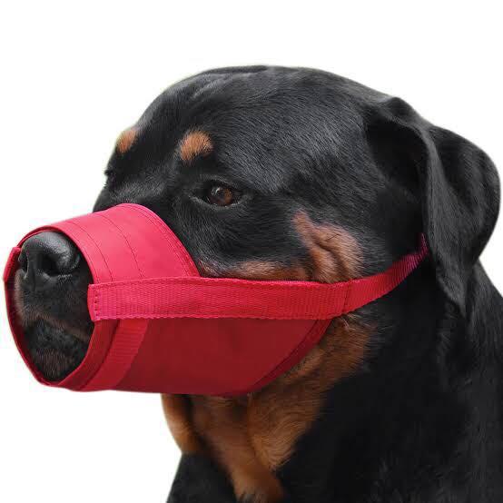 velcro dog muzzle