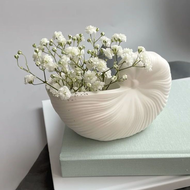 Ferm living shell pot, concrete shell vase, handmade shell vase for flowers, shell vase, Shell candle pot
