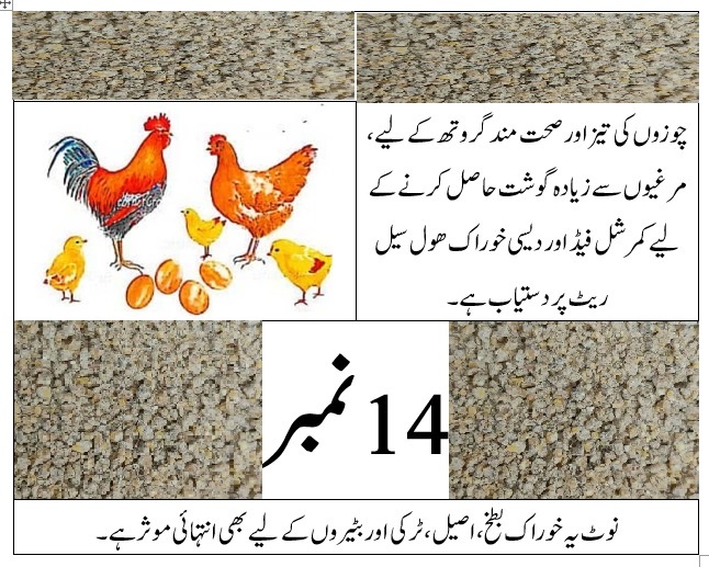 14 Number Chicken Duck Feed for Weight Gain - Protein Rich Poultry Feed 500gm / 1KG Murgi Dana Chicken Food
