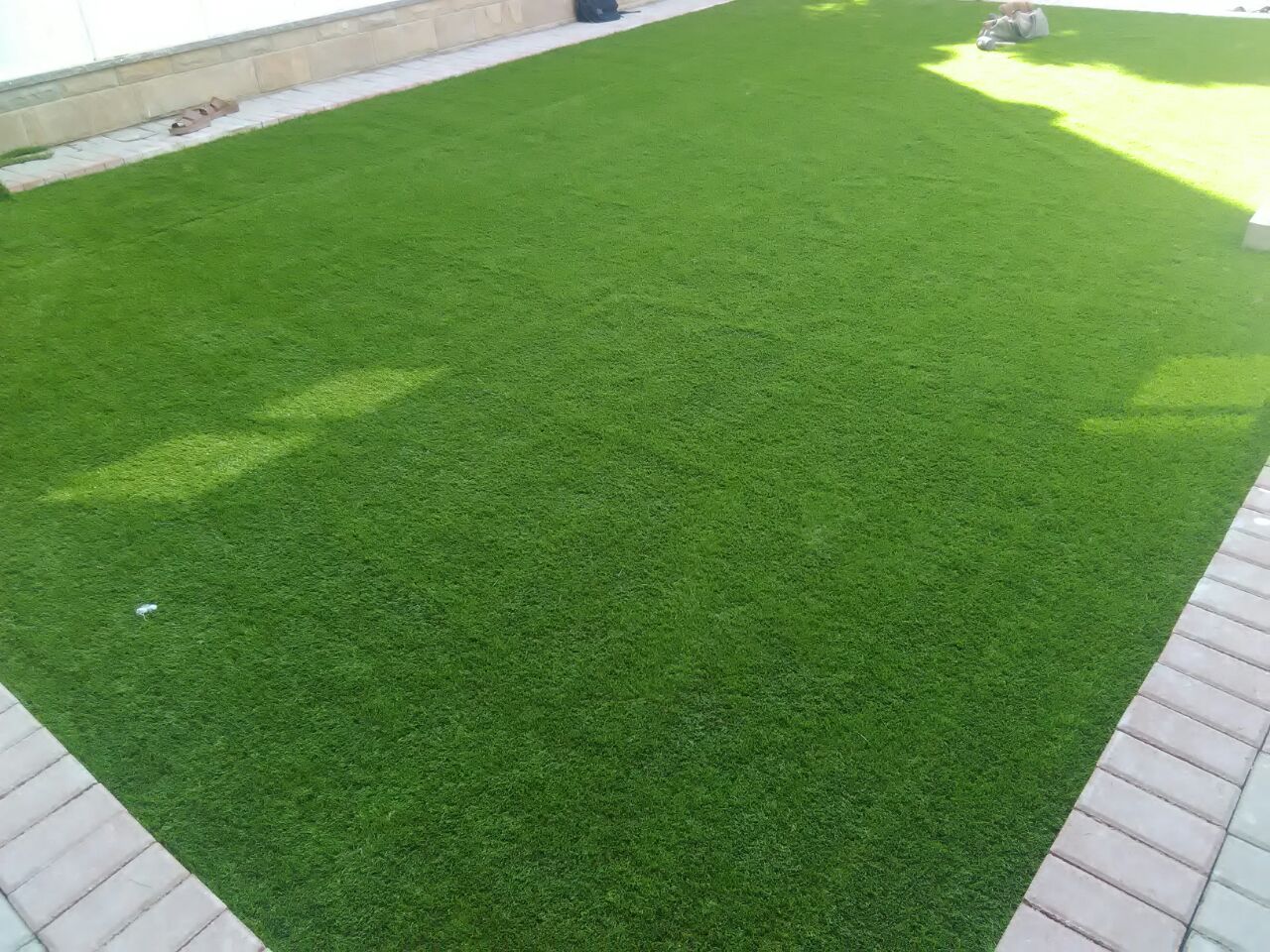 Real Feel Artificial Grass · Material: Plastic (PP + PE) · Grass Hair Length: 20 mm