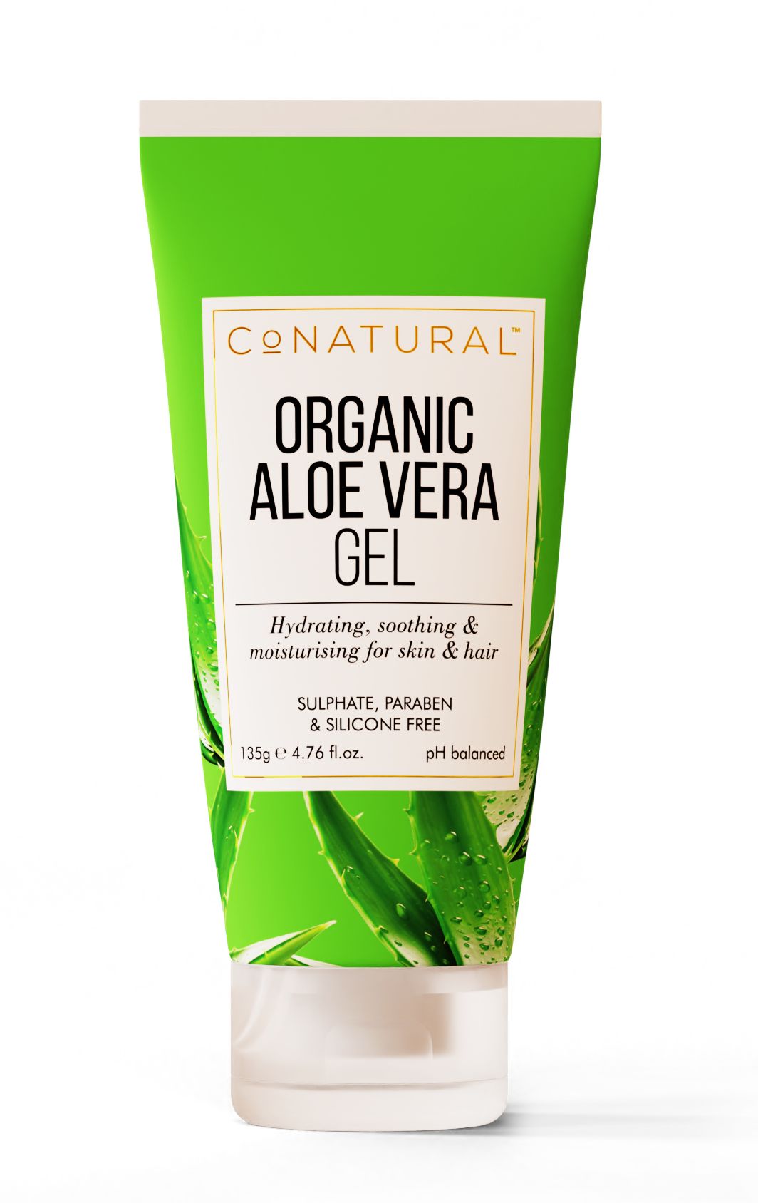 black aloe vera General Eclectic | Black Gem Aloe Vera Plant main image 0