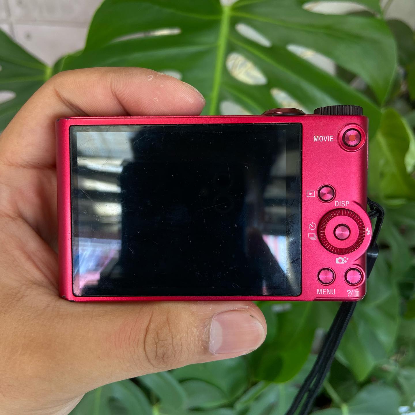 Sony Cyber-shot DSC-WX300 Red – 18.2 MP Digital Camera | 20x