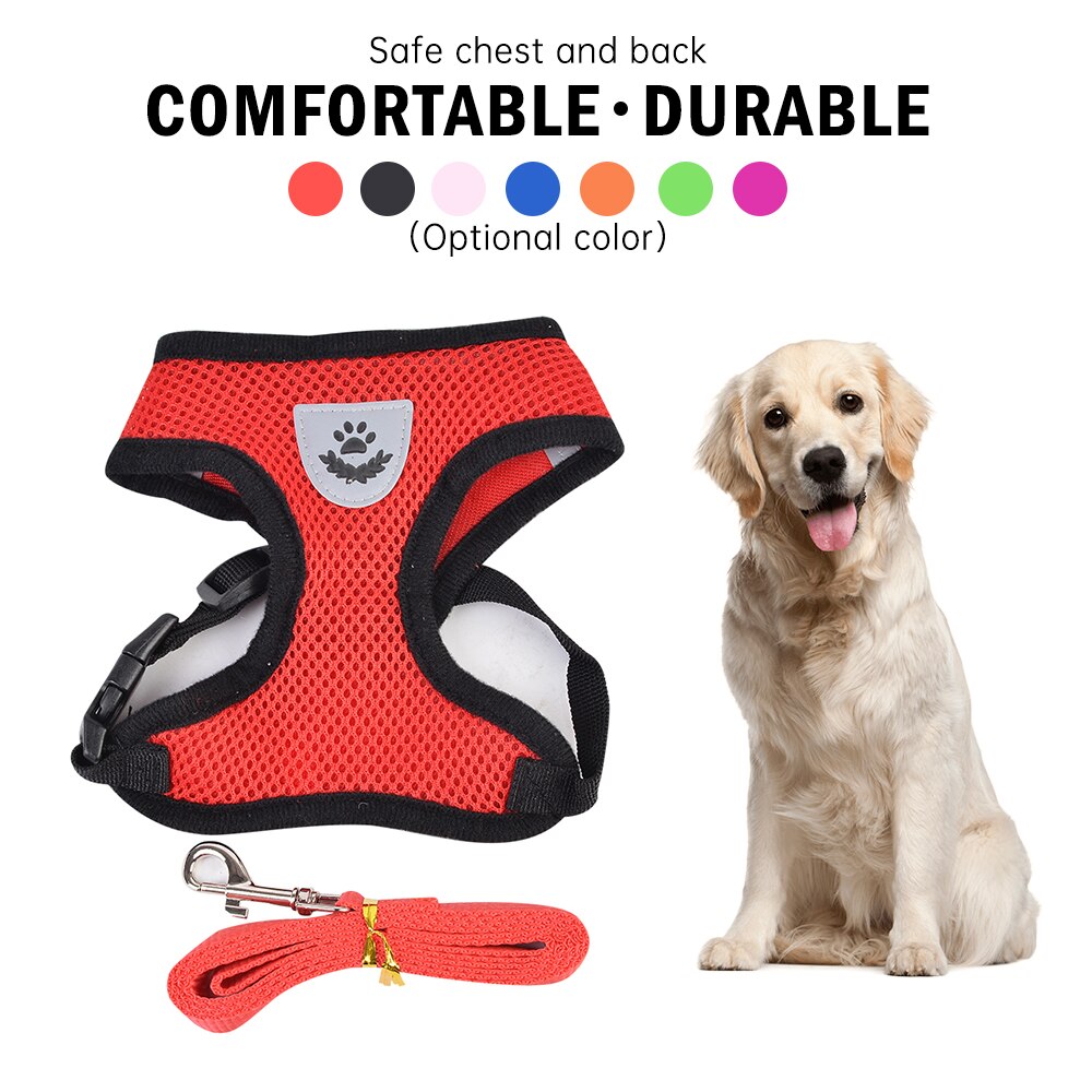 adjustable lead for dogs