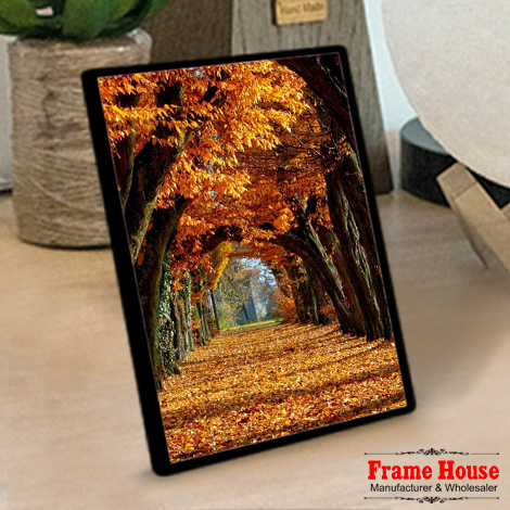 Motivational Quotes Photo Frame Set - Horizontal and Vertical Wall Decor for Home
