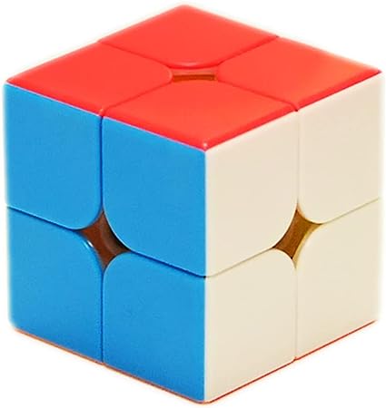Magnetic Speed Cube 2x2x2 and 3x3x3 Smooth Magic Cube Stikerless Puzzle