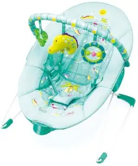 music and soothe bouncer
