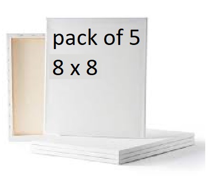 Pack of 5 Canvas for Painting - All sizes For Painting Blank White ...