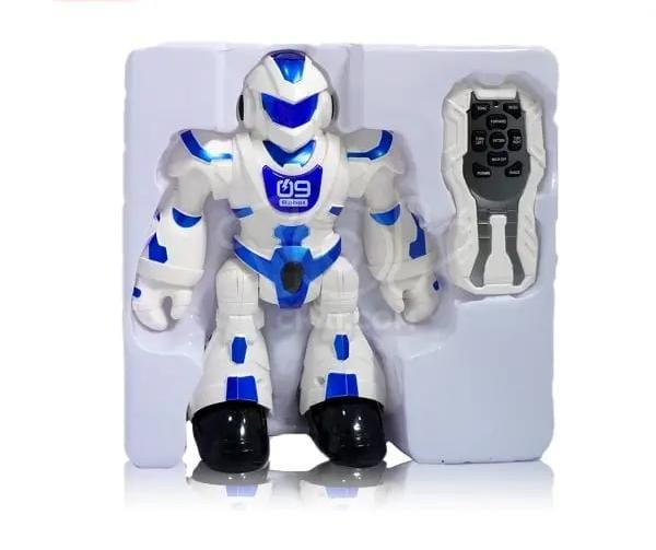 A Lifelike Dance Robot
