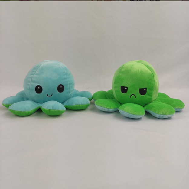 reversible bipolar teeturtle