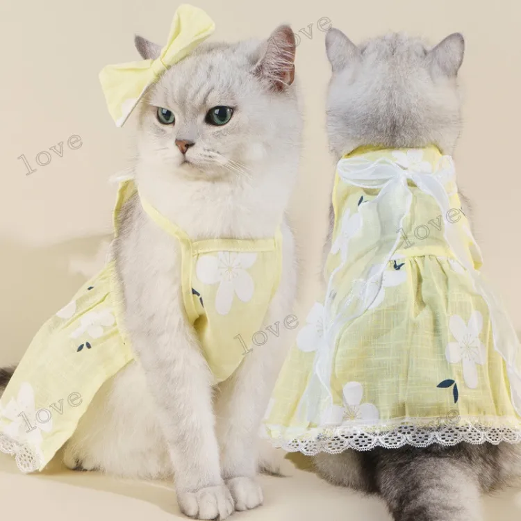 Animal 2024 cat dress