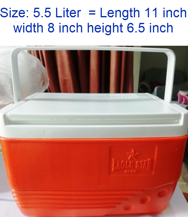 Cool Ice Box Small Cooler Portable ideal for Camping & Hiking Storing bottles, can