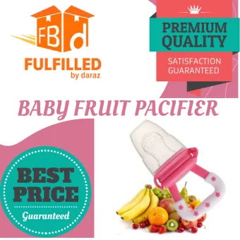 baby fruit soother