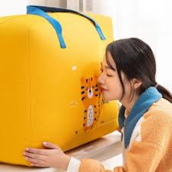 Wardrobe Dino bag for multi purpose random color random design