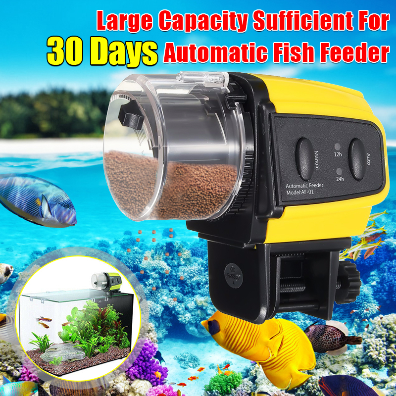fish autofeeder