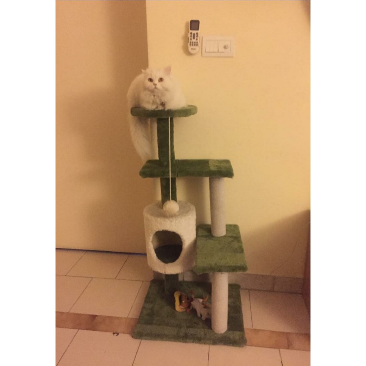 cat tree online
