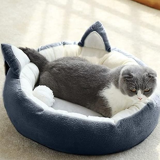 Cat Beds, Mats & Houses