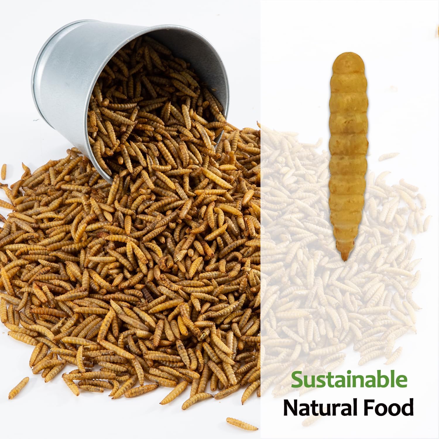 MEAL WORMS DRIED BSF LARVA /PROTEIN BITES PREMIUM QUALITY 100GM  / 250GM / 500GM / 1000GM FOR ALL TYPE OF BIRDS-FISHES & TURTLES