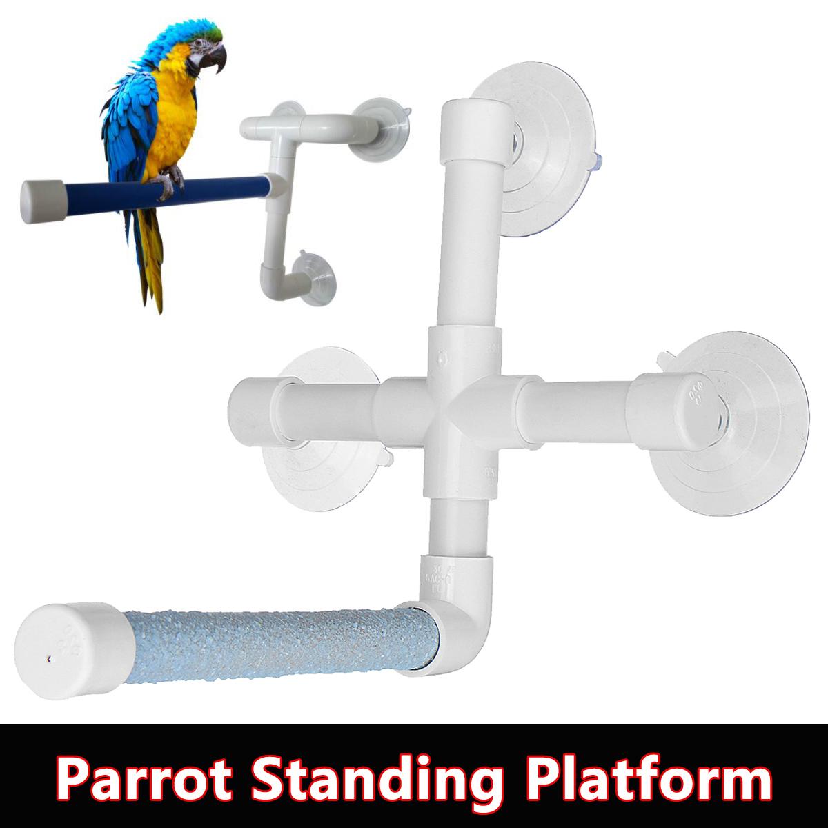 are-plastic-toys-safe-for-parrots-wow-blog