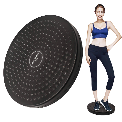 Tummy Trimmer Double Spring & Twister Plate Disc High Quality Weight Loss Machine For Home Gym