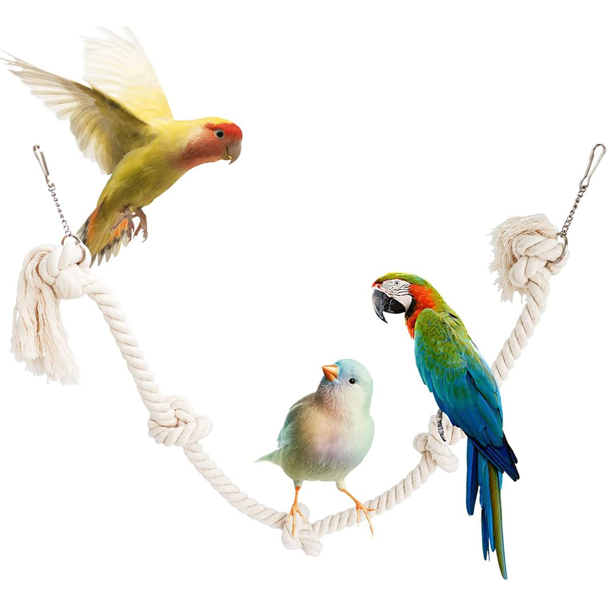 Bird 2024 rope toys