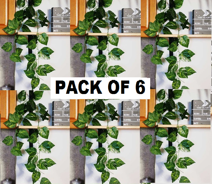 Pack of 6 Bail