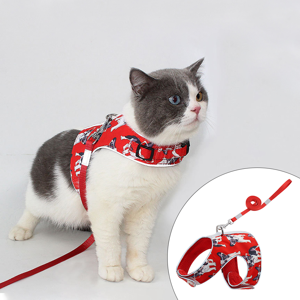 cat harness for large cats