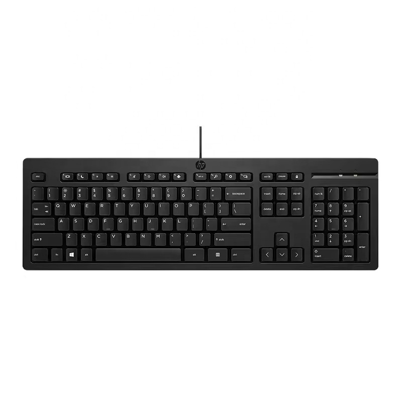 HP USB Keyboard for PC & Laptop | Slim Business Design, Quiet Keys, Original Quality | 1 Year Warranty