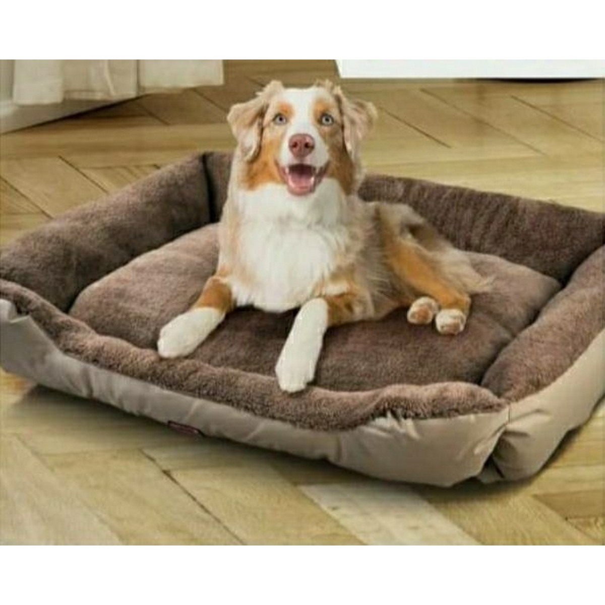 bed xxl size