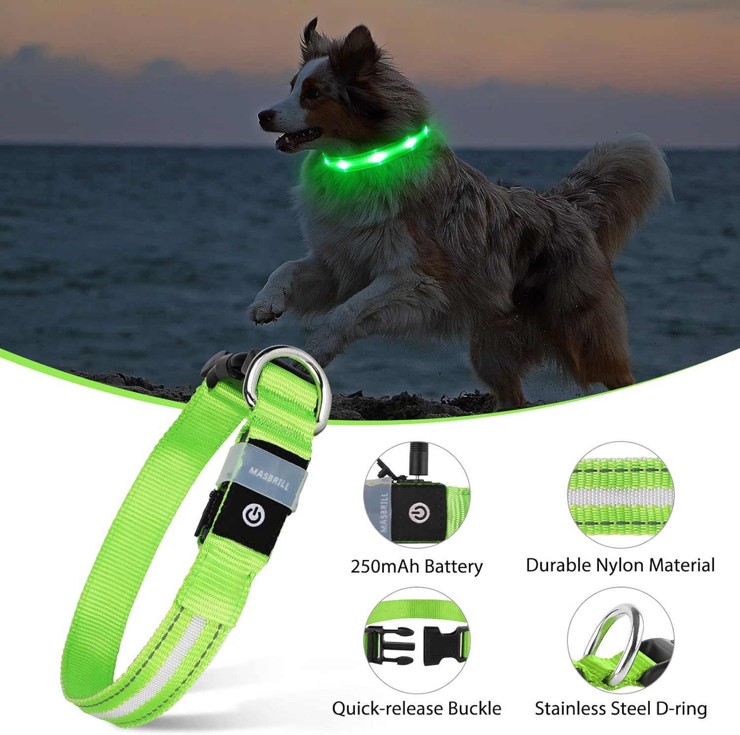 Glow in the dark 2025 dog collar no batteries