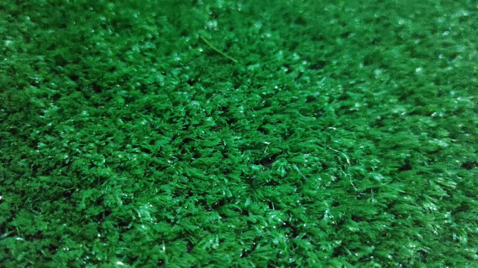 Artificial grass mat Grass mat / Floor Mat / Bath Room Mat / Entrance Mat