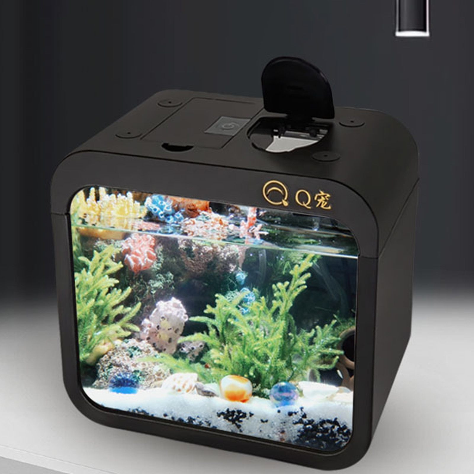 Pet Breeding Tank Arc Design Clamshell Feeding Window Fish Terrarium