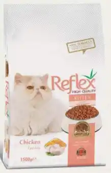 kitten food online